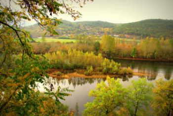 Vue du jardin à l'automne