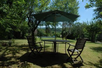 The large lawned garden, with trees providing shade