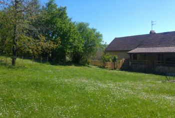 le jardin à l'arrière de la maison 