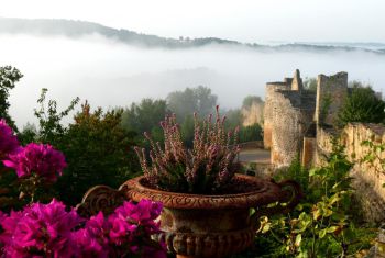 On the terrace