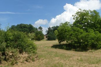 the house viewed from the other side of the plot of land 