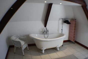 The bathroom on the main house