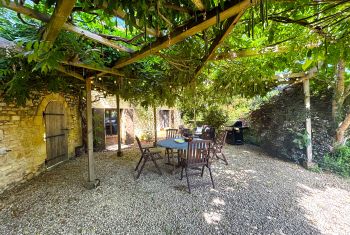 La terrasse à l'ombre de la glycine 
