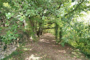 le jardin en sous bois ravira les petits aventuriers!