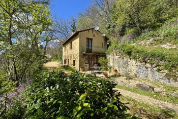 La falaise est nichée à flanc de colline, à 2 pas de la bastide de Domme 