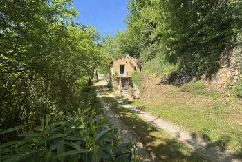La falaise est nichée à flanc de colline, à 2 pas de la bastide de Domme