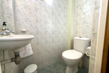 The separated toilets on the groundfloor 