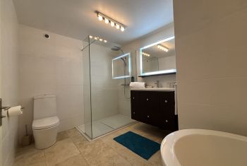 L'appartement en RDC - la sdb