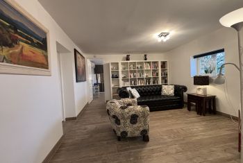 L'appartement en RDC - le salon  